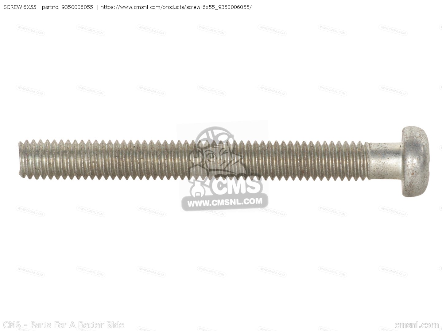 SCREW 55711016555 5.5 CNSAS 6.5 X 55 CC