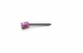 SCREW 55711015530 5.5 CNSAS 5.5 X 30 CC