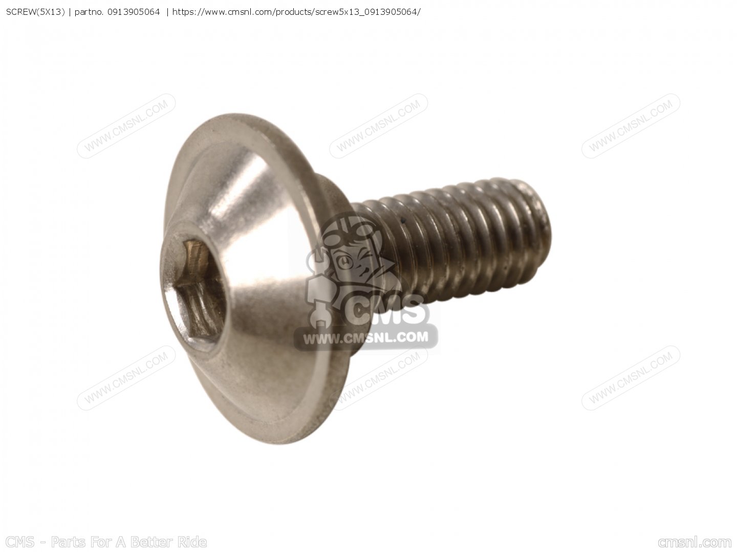 SCREW PK2 G6623513 SA S-D 3.5mm x 13mm