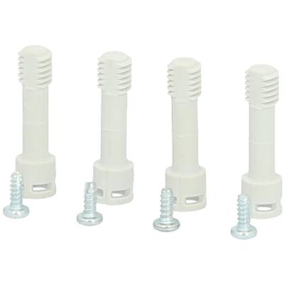 SCREW 55840026580 5.5 FNS MAS 6.5X80 CC