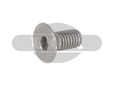 SCREW 55840025530 5.5 FNS MAS 5.5X30 CC