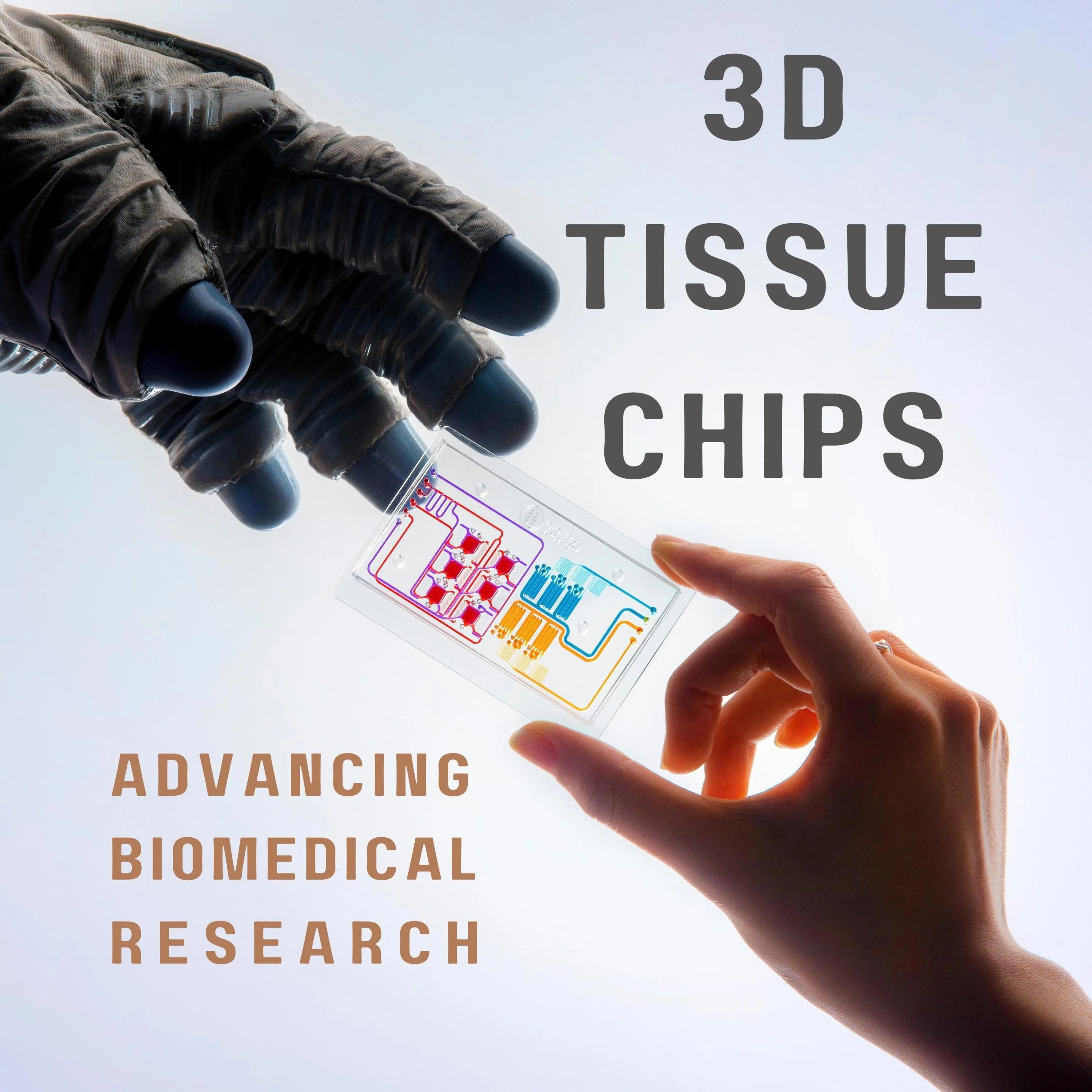 TISSUE 101015OST CANC CHIPS 2-5MM 15CC