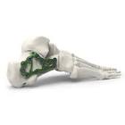 INSTALL MEDIA 9735379 CRANIAL TOOLS