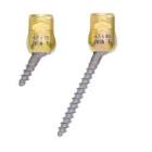 MULTI AXIAL SCREW G3604524 4.5 X 24MM