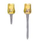 MULTI AXIAL SCREW 3604528 4.5 X 28MM