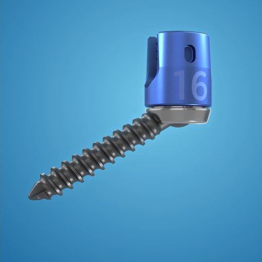 SET SCREW 3600315 STANDARD