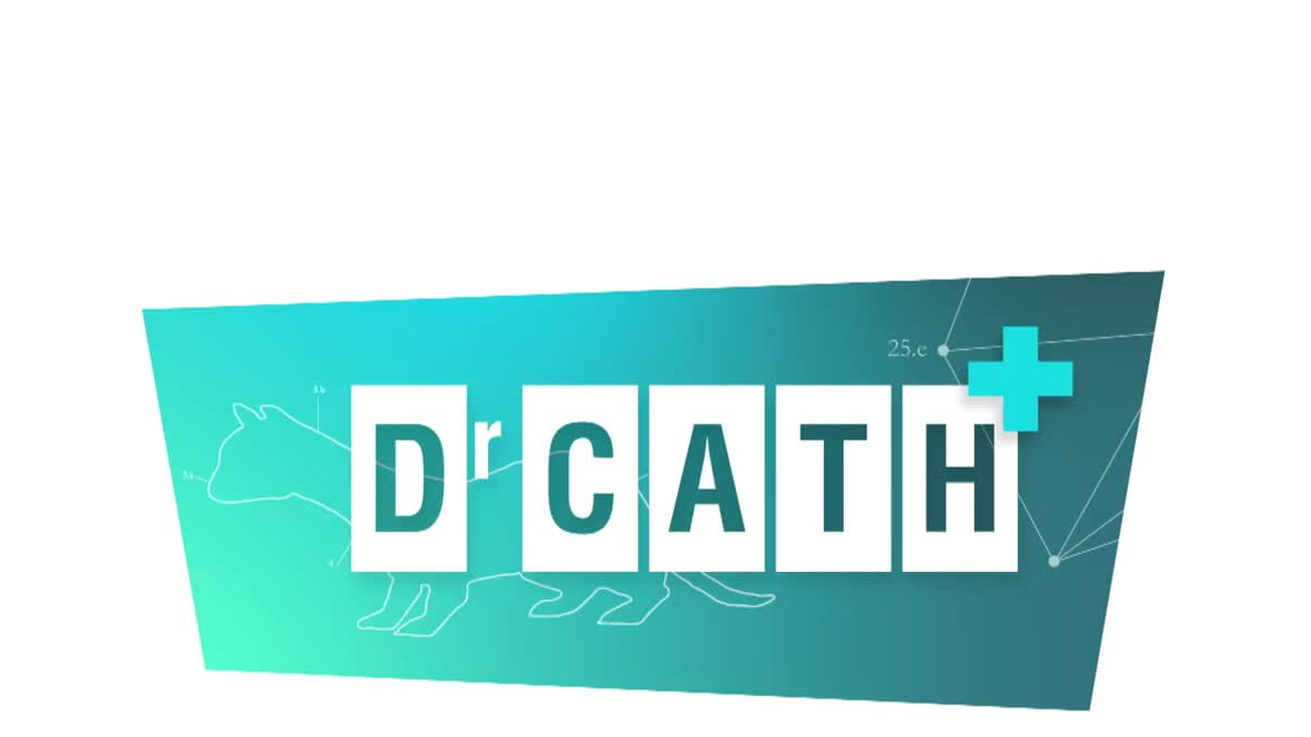CATH U6TRACKSH DXT 6F 5PK 100CM TRACK