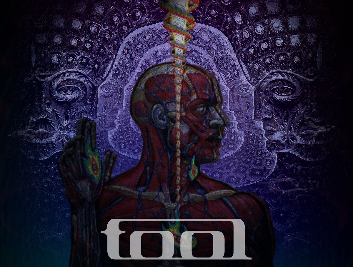 TOOL LEGEND 7.5CM 3MM BALL DIAMD FINE