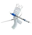 STENT GRAFT ESBF2514C103EE Endur IIs BIF