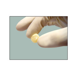 DBM T42100INT 2.5CMX10CM FLEX GRAFTON