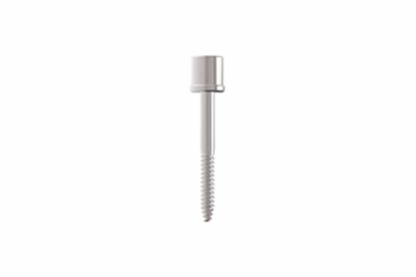 SCREW C806 CCD CL IMPL 6MM PLUGS
