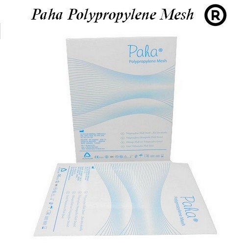 MESH 9052270  PYRM IMPLANT 22MMX70MM RND