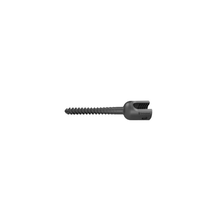 SCREW 7543660 FIXED ANGLE 6.5X60 TI