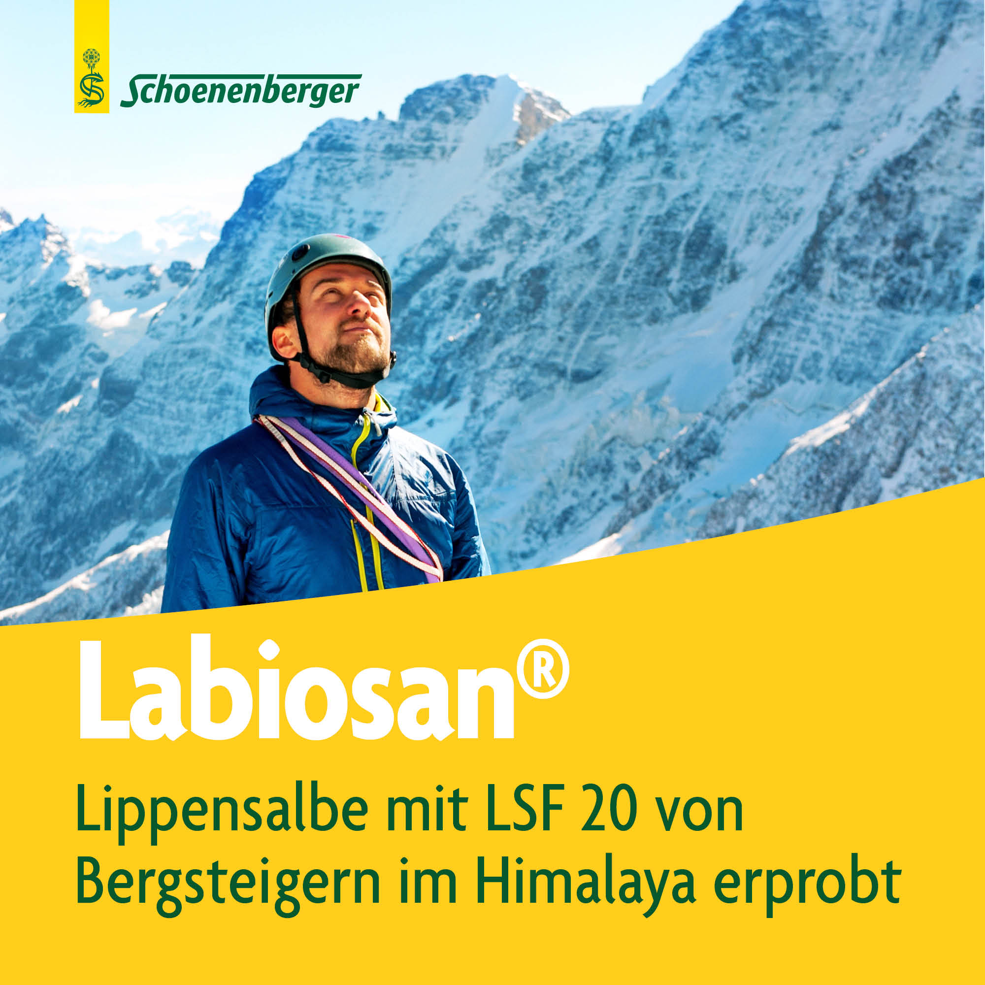LABIOSAN Lippenschutz Salbe LSF20 Tb 8 g