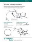 SYNFRAME CLAMP F/HOLD-RINGS