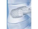 VERTEBRAL BODY STENT ACCESS