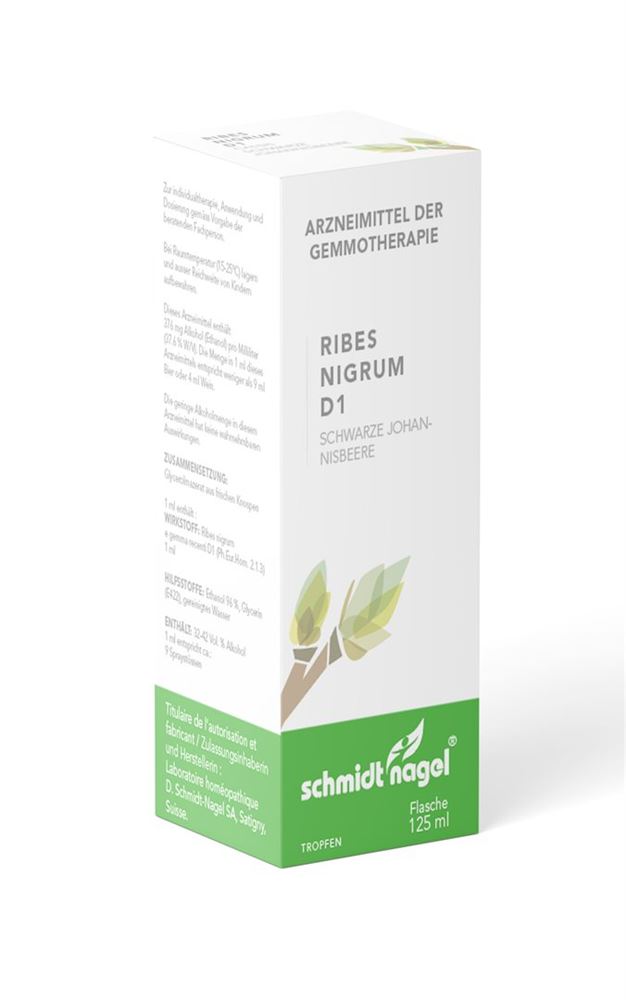 SN Ribes nigrum BG Glyc Maz DH 1 125 ml