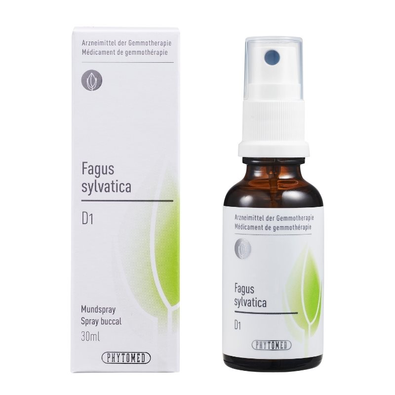 PHYTOMED GEMMO Fagus sylvatica liq D 1 Spr 30 ml