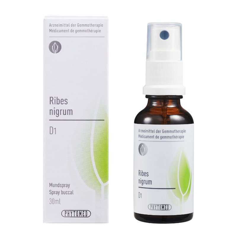 PHYTOMED GEMMO Ribes nigrum D 1 Spr 30 ml