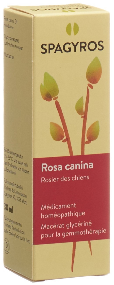 SPAGYROS GEMMO Rosa canina Glyc Maz D 1 30 ml
