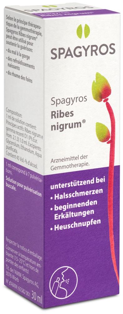 SPAGYROS ribes nigrum spray buccal 1 D 30 ml