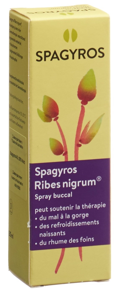 SPAGYROS ribes nigrum spray buccal 1 D 30 ml