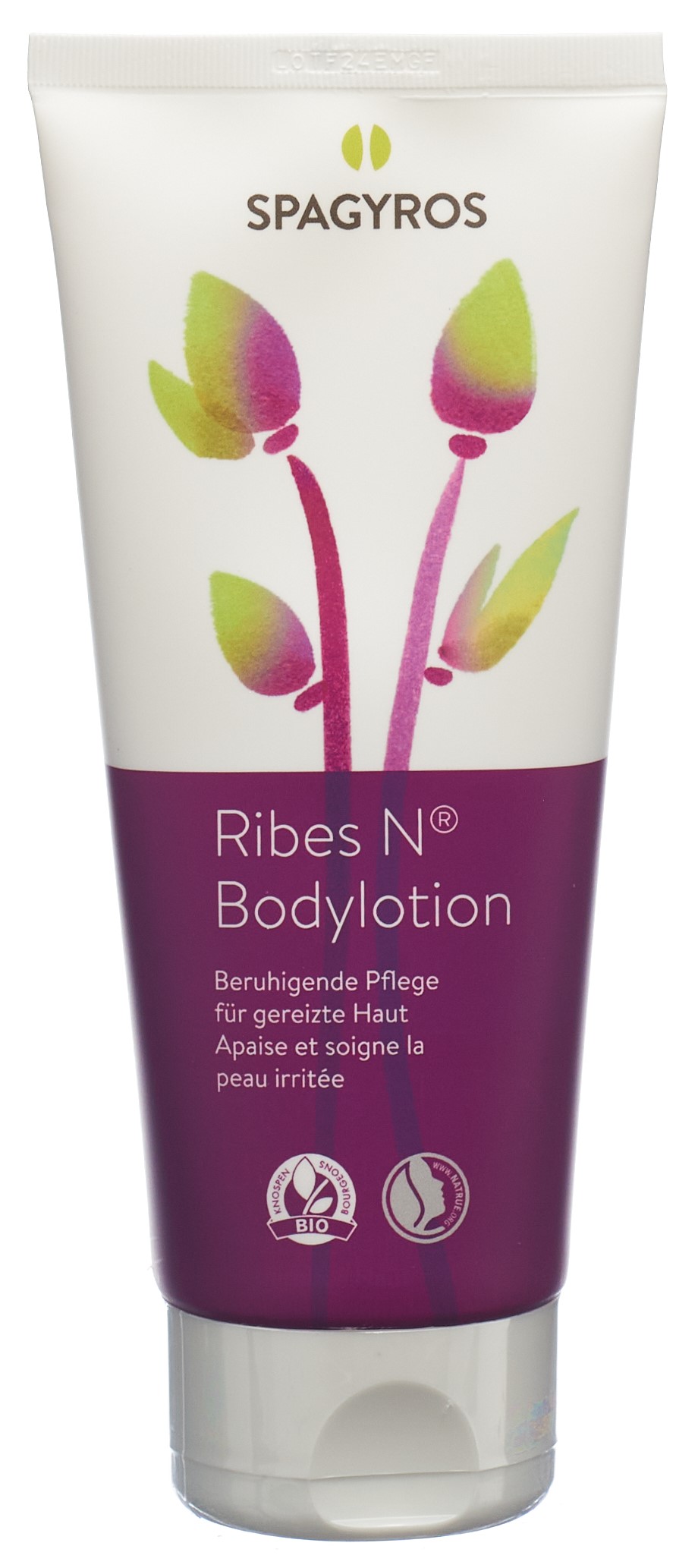 SPAGYROS Ribes N Bodylotion Tb 200 ml