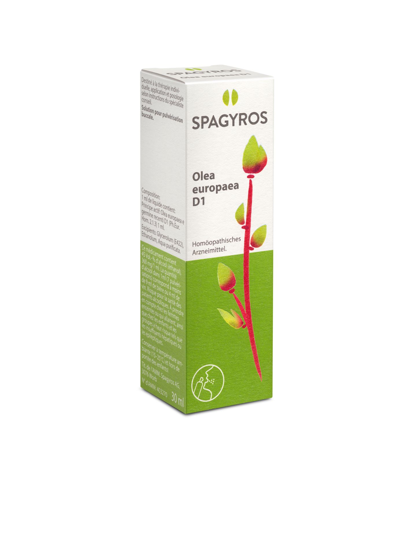SPAGYROS GEMMO Olea europaea Glyc Maz D 1 30 ml
