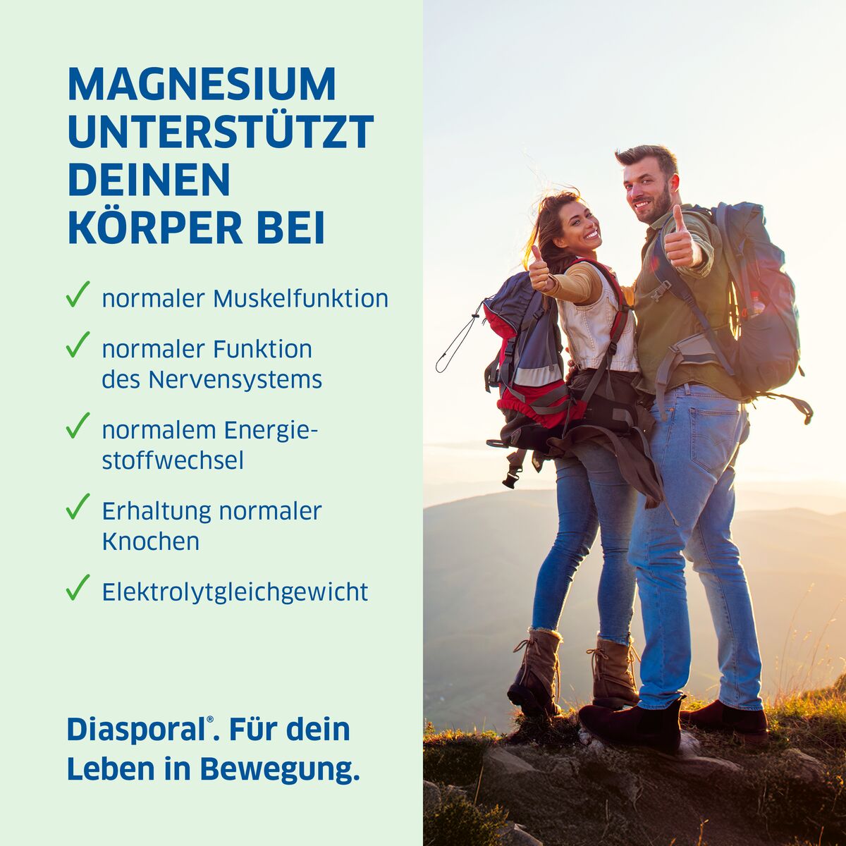 MAGNESIUM DIASPORAL Activ Kaps 50 Stk