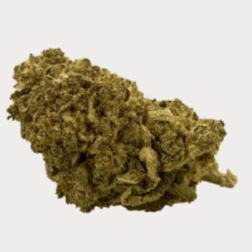 BUR ENTMR8 CUT CBD 4MM STD