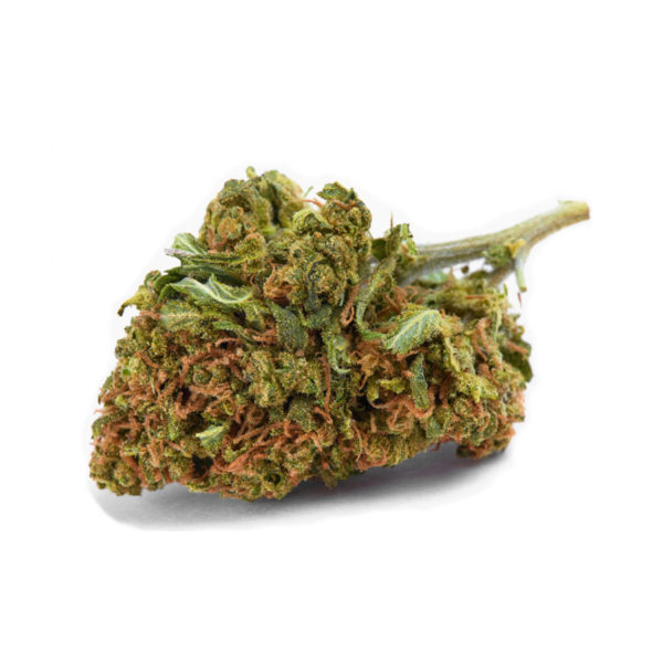 BUR ENTMR8 CUT CBD 2MM STD