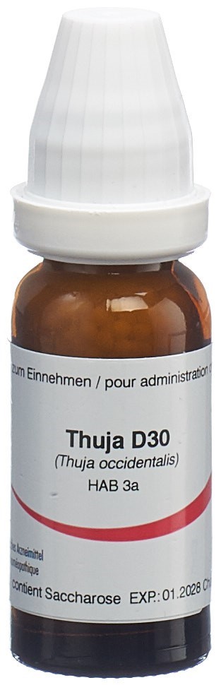 OMIDA Thuja Glob D 30 14 g