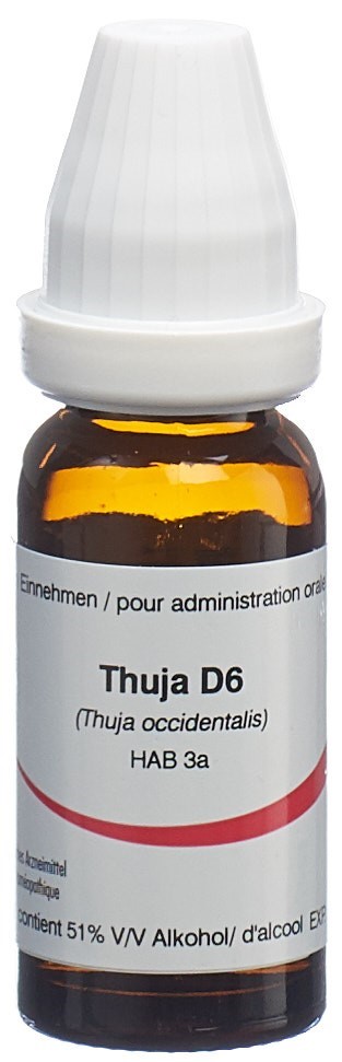 OMIDA Thuja Glob D 6 14 g