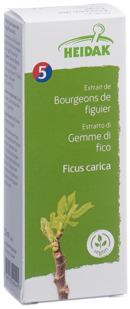 HEIDAK Knospe Feige Ficus carica Glyc Maz 30 ml