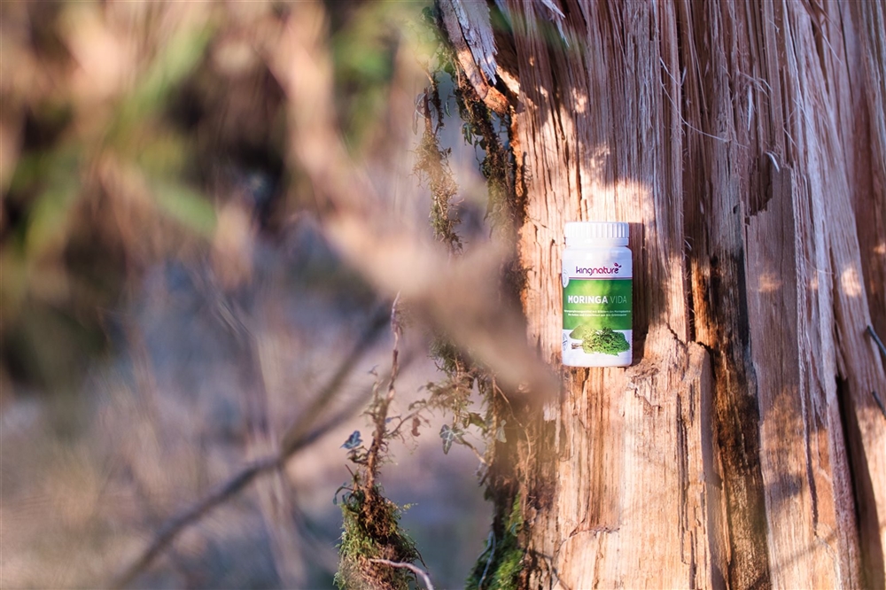 KINGNATURE Moringa Vida Kaps Bio 72 Stk
