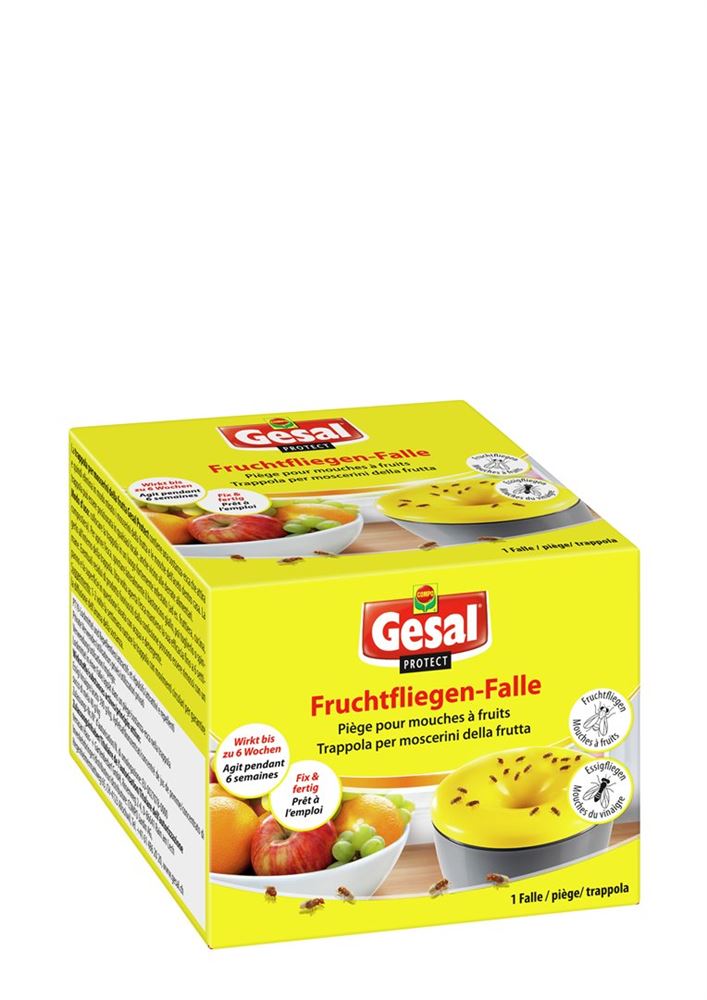 GESAL PROTECT Fruchtfliegen-Falle