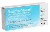 BRONCHO-VAXOM caps enf 10 pce