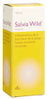SALVIA WILD gouttes fl 100 ml