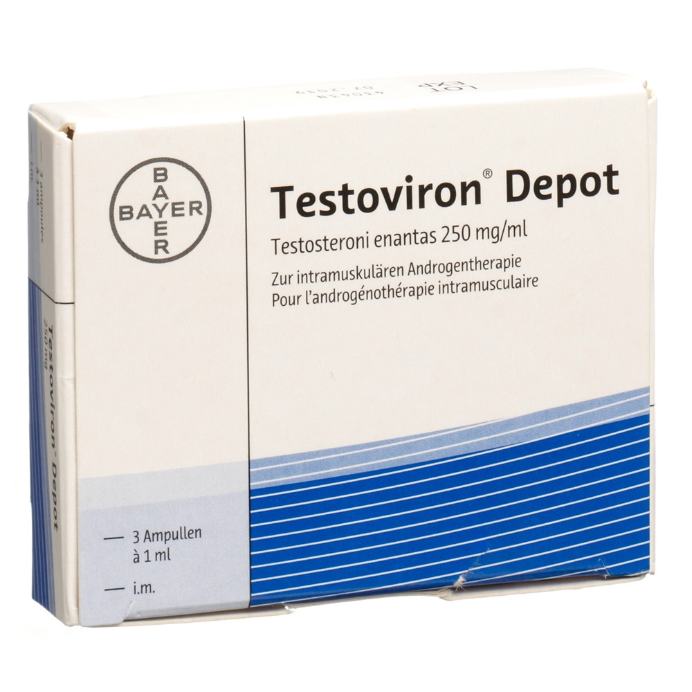 TESTOVIRON Dépôt sol inj 250 mg i.m. amp 3 pce