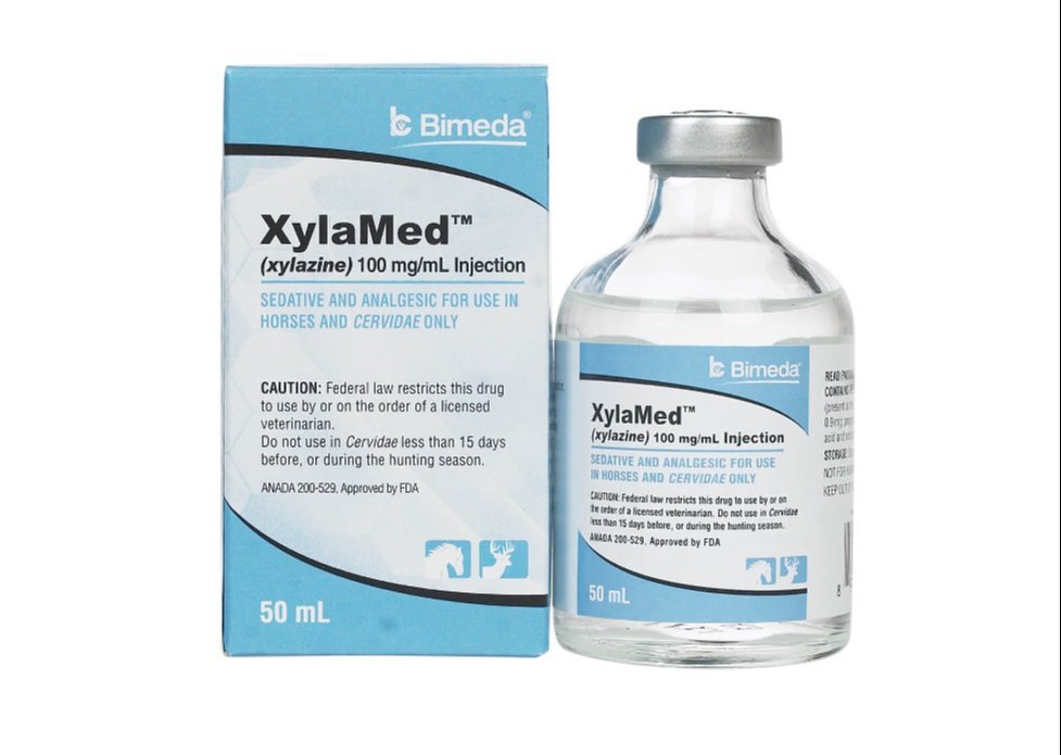 XYLESINE sol inj 1000 mg/100ml a cons 100 ml