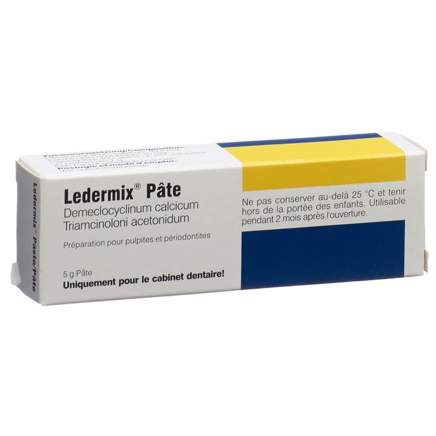 LEDERMIX pâte tb 5 g