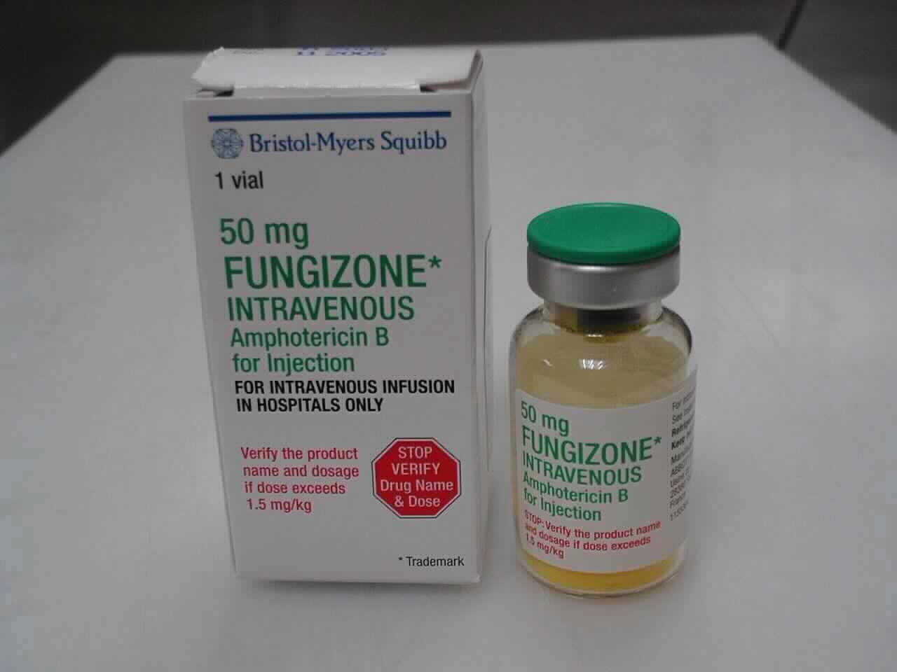 FUNGIZONE subst sèche 50 mg flac