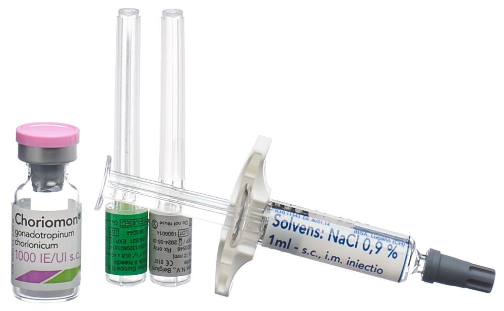 Choriomon 1000, polvere e solvente per soluzione iniettabile (siringa preriempita con solvente)