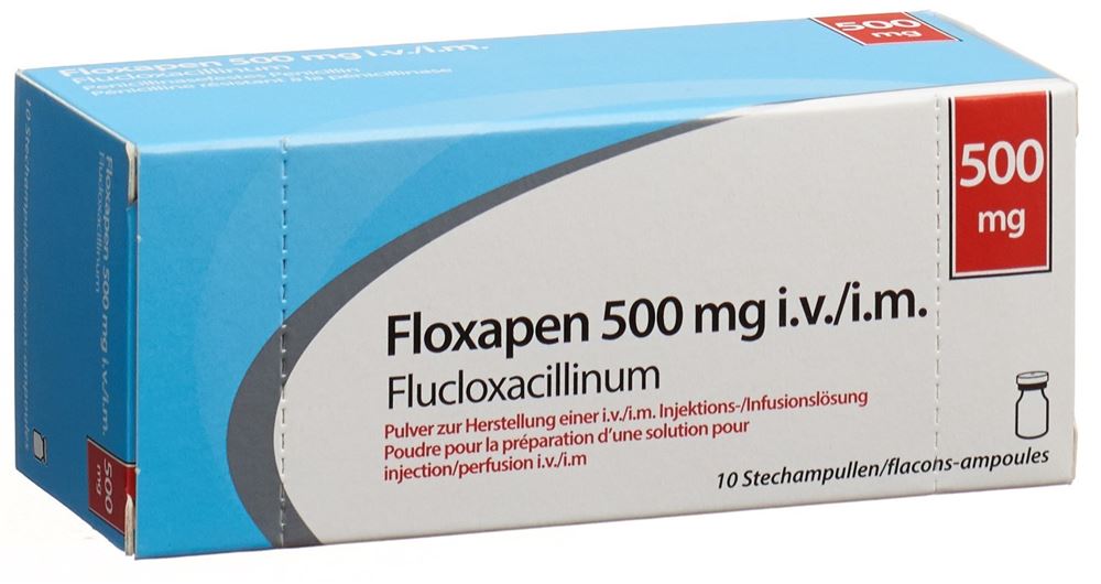 FLOXAPEN subst sèche 500 mg flac 10 pce