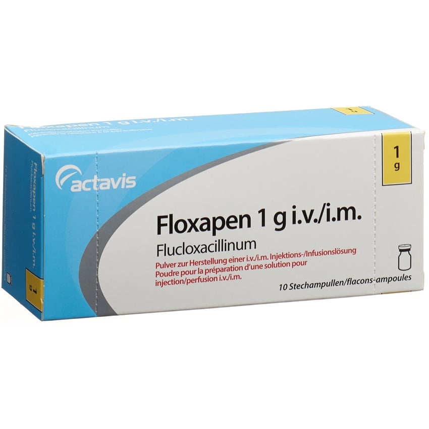 FLOXAPEN subst sèche 1 g flac 10 pce