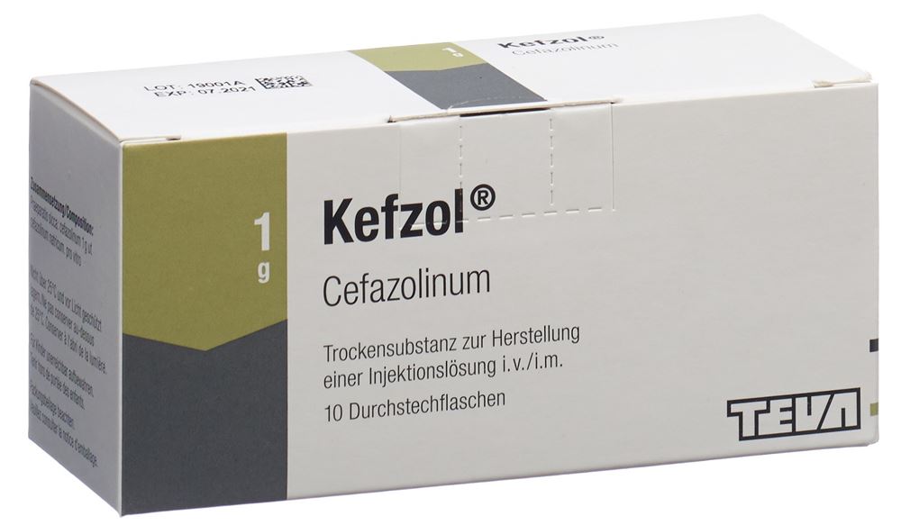 KEFZOL subst sèche 1 g flac 10 pce
