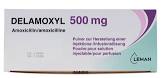 DELAMOXYL subst sèche 500 mg flac 10 pce