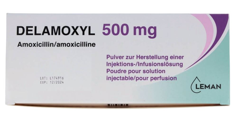 DELAMOXYL subst sèche 500 mg flac 10 pce