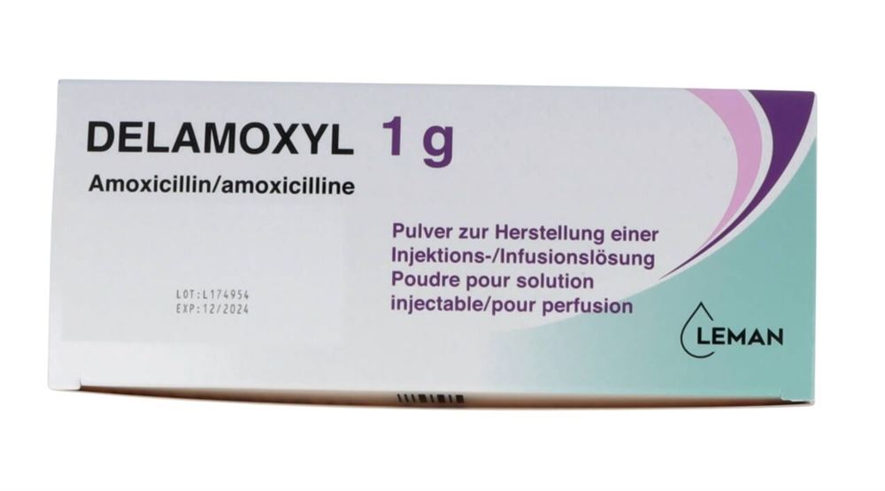 DELAMOXYL subst sèche 1 g flac 10 pce