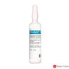 VITALIPID N Infant émuls perf 10 amp add 10 ml